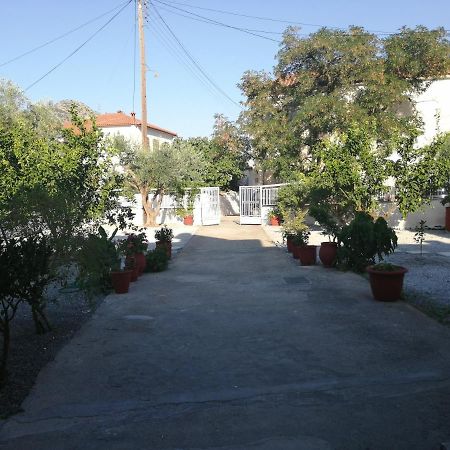 Apartament Sunny Cozy House With Grand Courtyard Leonídion Zewnętrze zdjęcie