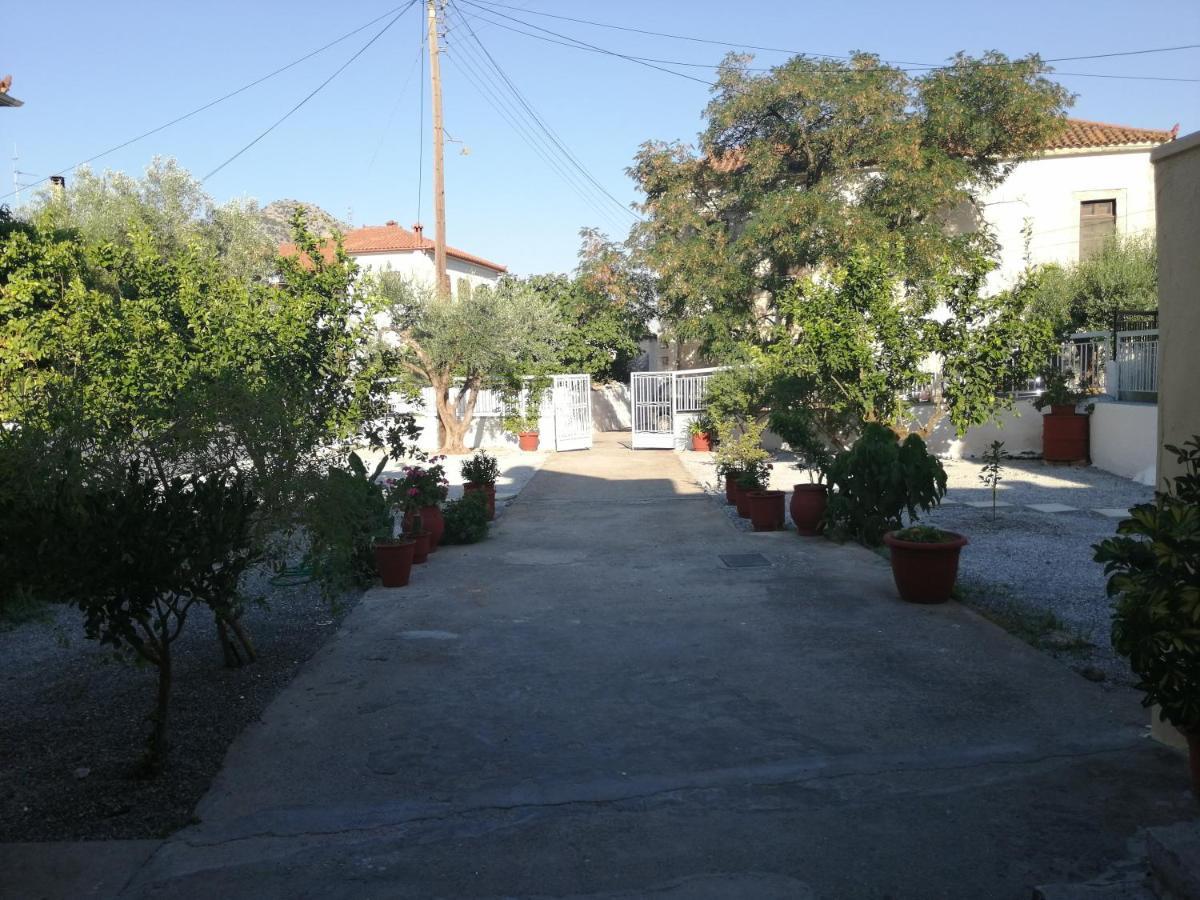 Apartament Sunny Cozy House With Grand Courtyard Leonídion Zewnętrze zdjęcie